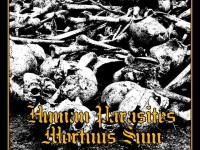 HUMAN PARASITES / MORTUUS SUM – “Shadows of the Forthcoming Devastation” split Review