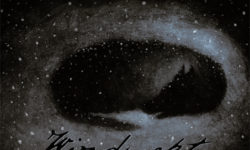 Listen exclusive FULL album premiere of DRUDKH mastermind Roman Sayenko project WINDSWEPT!