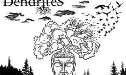 DENDRITES: Δελτίο τύπου για την εμφάνισή τους στο Horns Up Festival