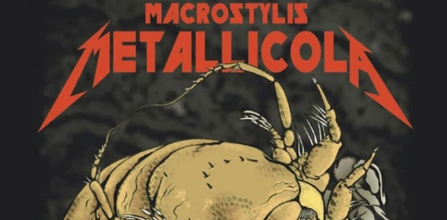 METALLICA: Ερευνητές έδωσαν το όνομα της μπάντας σε νέο είδος οστρακόδερμου!
