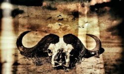 BAXTHEO: Ακούστε το κομμάτι “Meanwhile” (βίντεο)