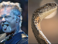 Νέο είδος Οχιάς παίρνει το ονομα του James Hetfield