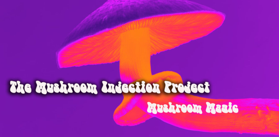 THE MUSHROOM INJECTION PROJECT: Νέα Stoner Rock μπάντα από Αθήνα με debut single!