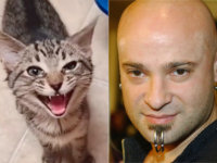 TIK TOK: Γάτα κάνει αίσθηση ‘τραγουδώντας’ Disturbed (Βίντεο)