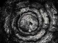 FORHIST – “Forhist”