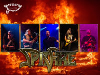 SPITFIRE: O ΝΕΟΣ δίσκος “Denial To Fall” κυκλοφορεί το φθινόπωρο μέσω της No Remorse Records!