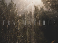 Dead Flag Blues: Οι Έλληνες Post-Rockers κυκλοφόρησαν τον πρώτο τους δίσκο: Traumatique