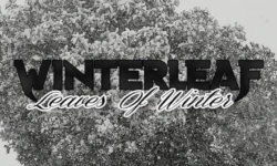 WINTERLEAF: Κυκλοφόρησε το πρώτο single του νέο project από τη Θεσ/νίκη!