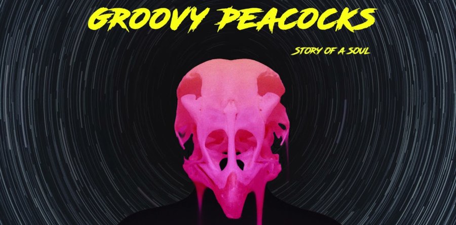 Groovy Peacocks – Ακούστε το τραγούδι “Reset” από τον πρώτο τους δίσκο