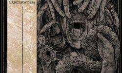 DAYLIGHT MISERY: Κυκλοφόρησε το τραγούδι “Cancerworm” (feat. Aaron Stainthorpe, Sakis Tolis & Gus G.) στη μνήμη του Δημήτρη Θεοδωρόπουλου!