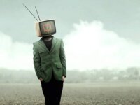 MOTHER TURTLE – “MT V”