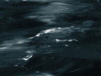 EMBARGO – “High Seas”