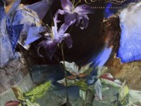 CELENE – “Forlorn Paradise”