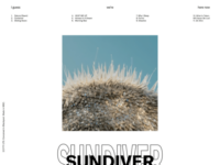 BOSTON MANOR – “Sundiver”