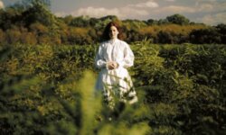 THY CATAFALQUE – “XII: A Gy​ö​ny​ö​rü Álmok Ezut​á​n J​ö​nnek”