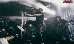 Ανταπόκριση: MALEVOLENCE, Eden Demise, Malignant @ Κύτταρο, Αθήνα (11/12/2024)