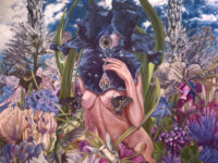 CALYCES – “Fleshy Waves of Probability”