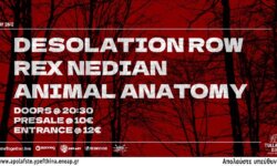 DESOLATION ROW με REX NEDIAN και ANIMAL ANATOMY την Παρασκευή 28 Φεβρουαρίου στο Temple