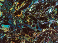 BLACK REUSS – “Arrival”