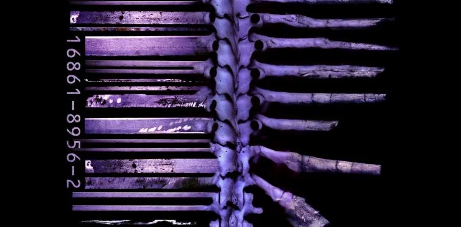 FEAR FACTORY: Αφιέρωμα για τα 30 χρόνια του “Demanufacture”