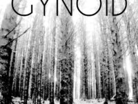 Οι Urstaat και οι Gynoid σε πρώτη κοινή εμφάνιση, ανοίγουν το 2026 στο Αλτάι.